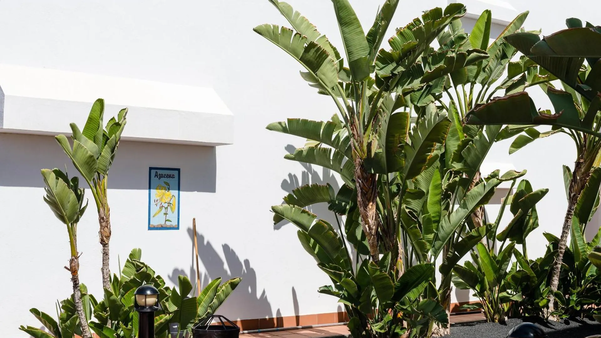 Plus Fariones Apartamentos Puerto del Carmen  Apartment